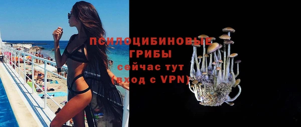 СК Володарск