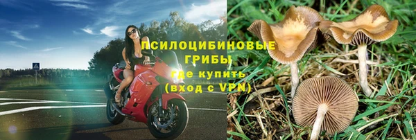 крисы Волосово