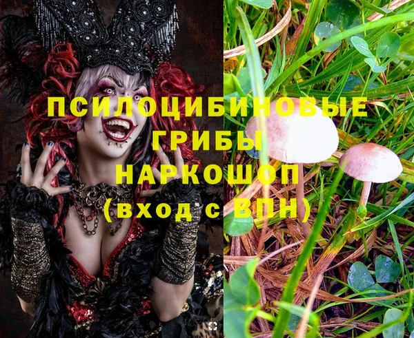 крисы Волосово
