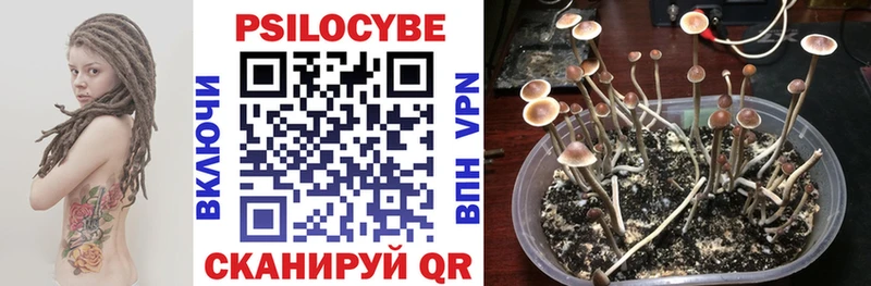 Галлюциногенные грибы Psilocybine cubensis  Магадан 
